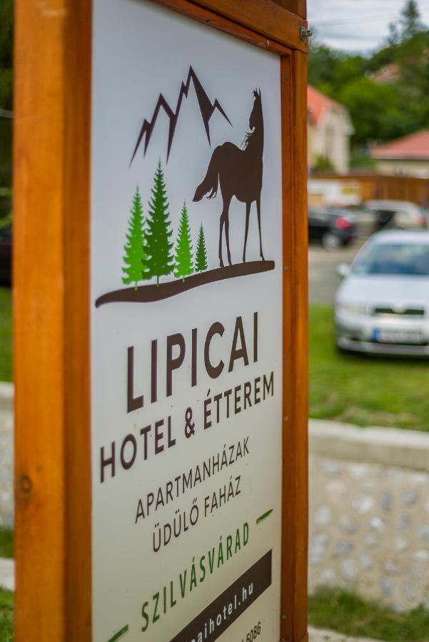 Lipicai Ifjusagi Szallo Szilvasvarad Ngoại thất bức ảnh
